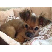 Karen Pelletier Walker's photo