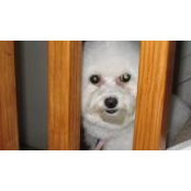 Lexi Preisser's photo