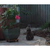 Laura Ratcliffe's photo