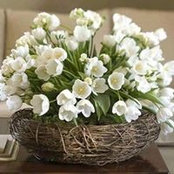 Figen Uyanık's photo