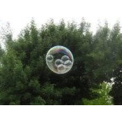 Anne McGarry's photo