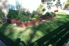 veggies