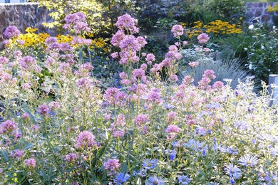Garten in Berlin