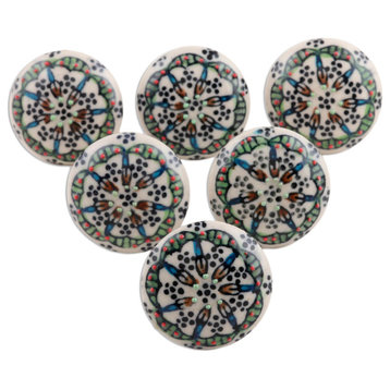 Novica Handmade Floral Majesty Ceramic Knobs (Set Of 6)