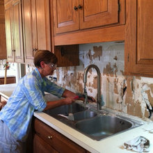 Suzanne's Kitchen Remodel