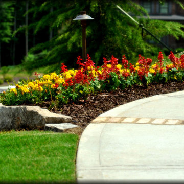 Annual Beds