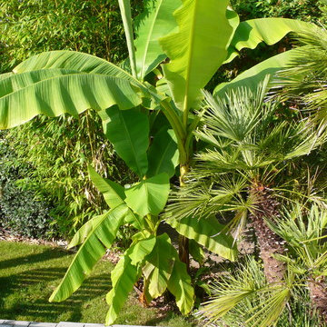 Jardin exotique