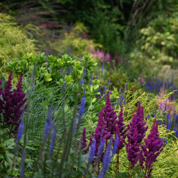 High Line Summer Meadow