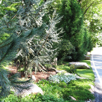 Landscape Maintenance