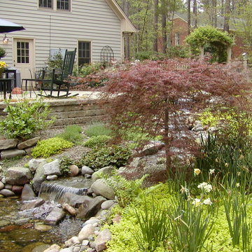 Lush Front Yard