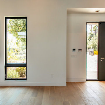 California Modern Entry Door
