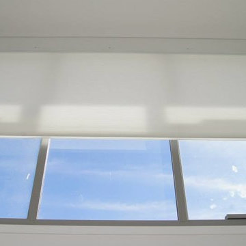 Honeycomb Pleated Blinds