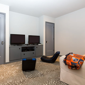 European Modern Home in Naperville
