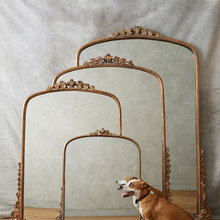 Accessories for the Home