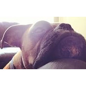 Rebekah Colby's photo