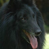 Martina Braun's photo