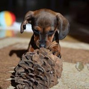 Kate Walsh's photo