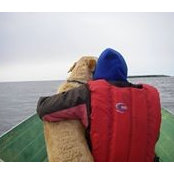 David DeMello's photo