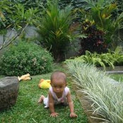 Dwi Susanto's photo