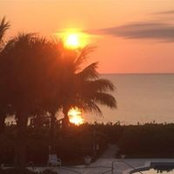 Patti Barkley's photo