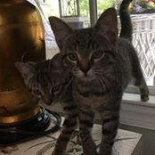 Rebecca Crane's photo