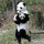nancy_taylor9179086