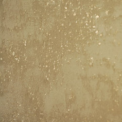 Smooth Lime Plaster - Paint