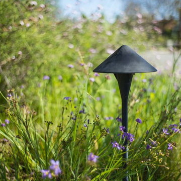 2018 Native Plant Garden Tour