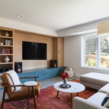 Damascus Basement Remodel