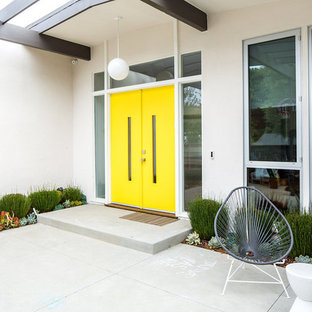 75 Beautiful Midcentury Modern Double Front Door Pictures