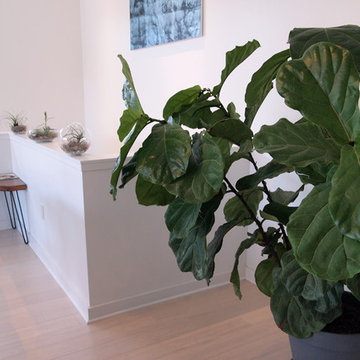 My Houzz: Japanese Minimalism Blends With Classic New Orleans Style
