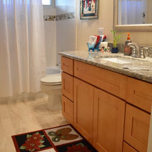 Dad's Guest Bathroom