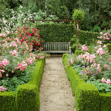 Rose Gardens