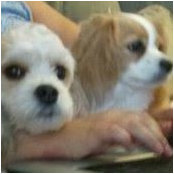 Mary McReynolds's photo