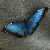 Melissa Monaghan's photo