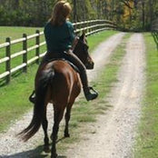 Linda Gaddy's photo