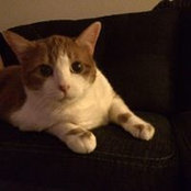 Tammy Clausing's photo