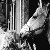 Jennifer Breiner's photo