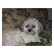 Debbie Southward's photo