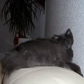 Agnesa Torlakovic's photo