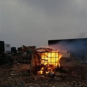 Sarah Boyes's photo