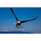Corene Brooks's photo