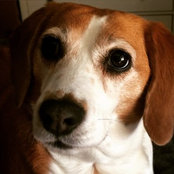 Jennifer Granado's photo