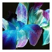 Hilde Gewehr's photo