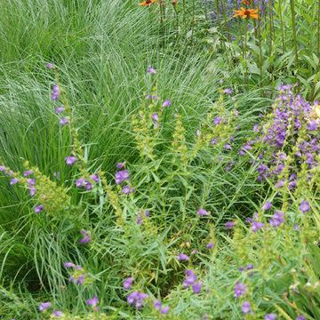 Plant Arrangements