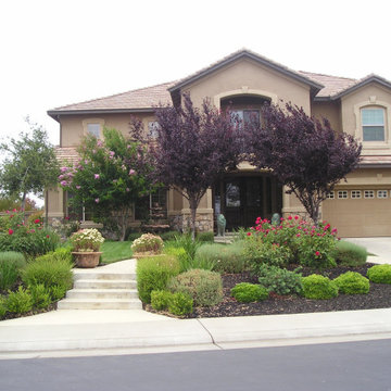 Front Yards and Walkways