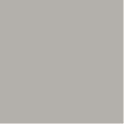 Benjamin Moore-Baltic Gray - Paint