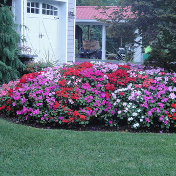 front stoop/ annual plantings