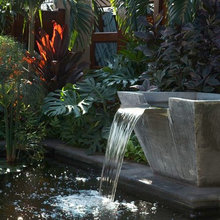 Fountain Plants