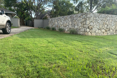 This is an example of a landscaping in Dallas.